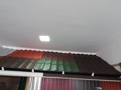 Dam örtükləri